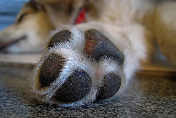 Between The Toes