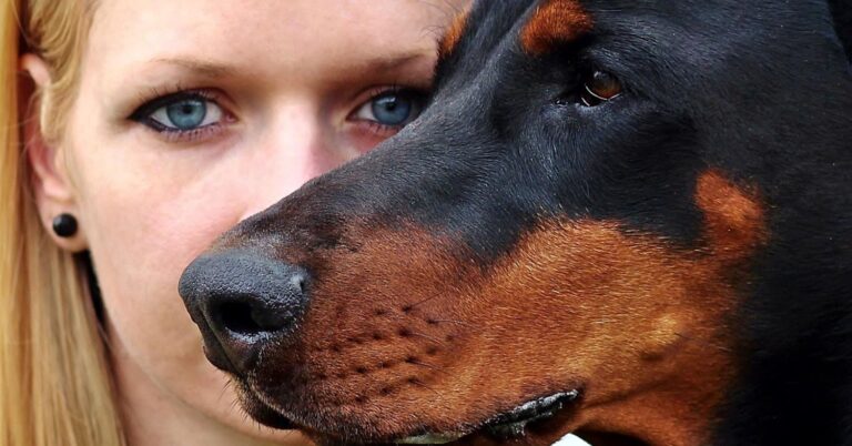 10 Dogs That Judge You Quietly (And Correctly)