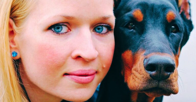 10 Natural Traits Of Doberman Pinscher That Thrive Under Structure
