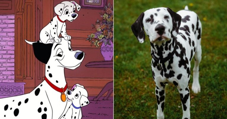 Meet The Breeds That Inspired TV’s Most Beloved Cartoon Dogs