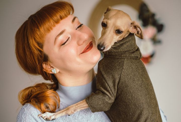 These 10 Low-Shedding Small Breeds Make Surprisingly Calm Companions