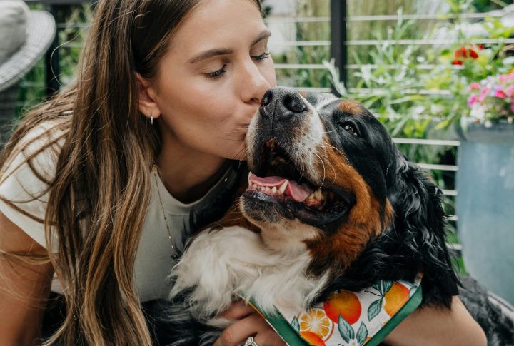 10 Snow Lovers Of The Canine World