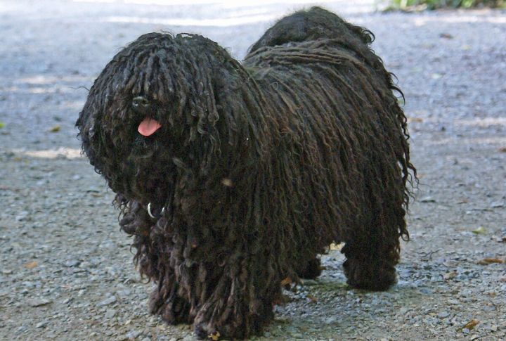 Physical Appearance And Size Standards