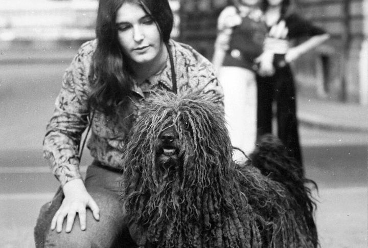 Temperament And Behavioral Traits