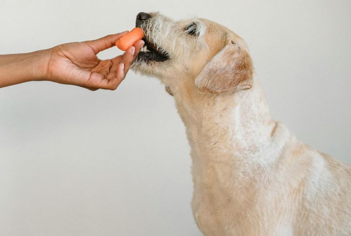 Carrot Sticks