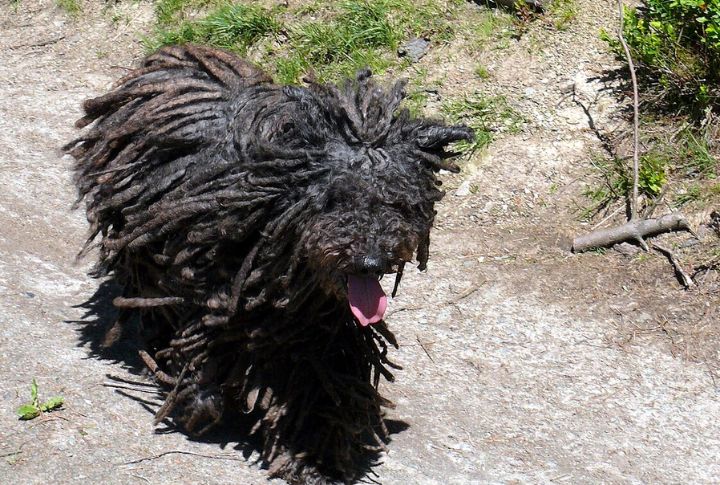 Exercise And Activity Requirements