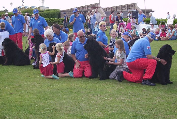 They Are Exceptional Child’s Guardian In Neurodiverse Homes