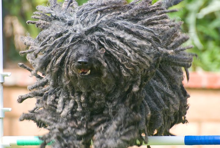 Training, Intelligence, And Work Instincts