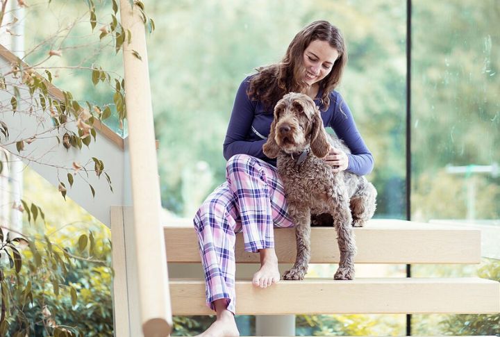 Grooming Needs For A Wiry Coat
