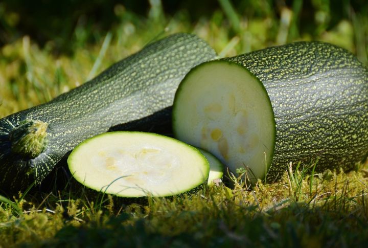 Zucchini Rounds