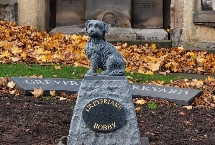 10 Reasons Backyard Pet Burials Could Do More Harm Than Good