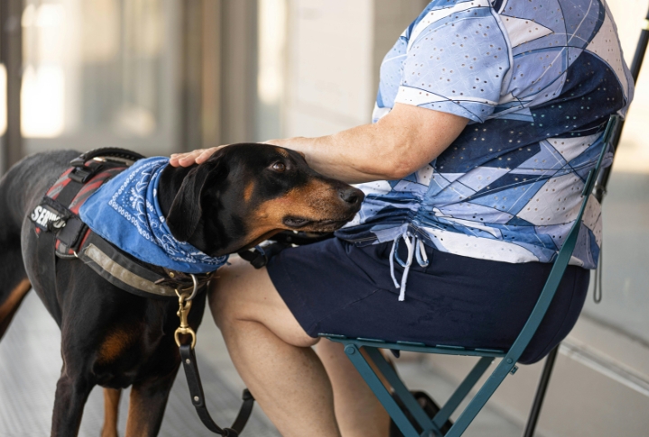 Break Routine To Follow Their Owner Constantly
