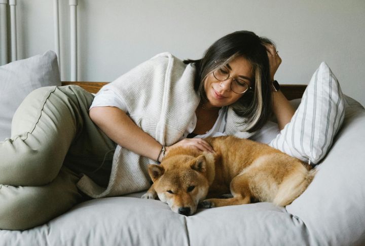 Display Unusual Calm When Their Owner Is Stressed