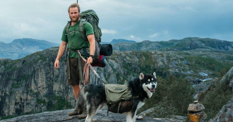 What Every Dog Owner Should Know Before Hitting The Trail