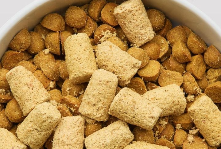 Spot & Tango—Unkibble Fresh Dog Food