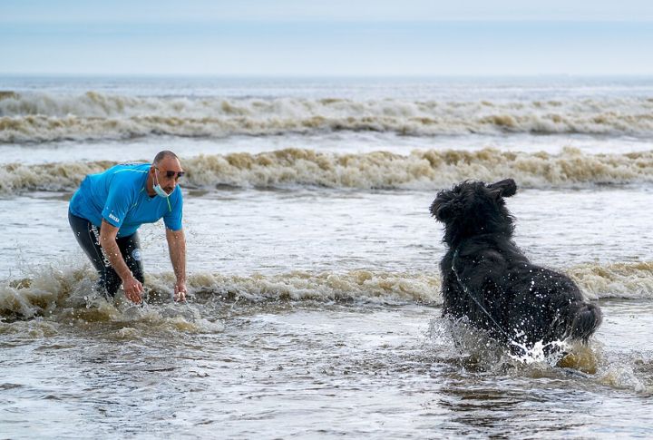They Are A Remarkable Water Therapy Companion
