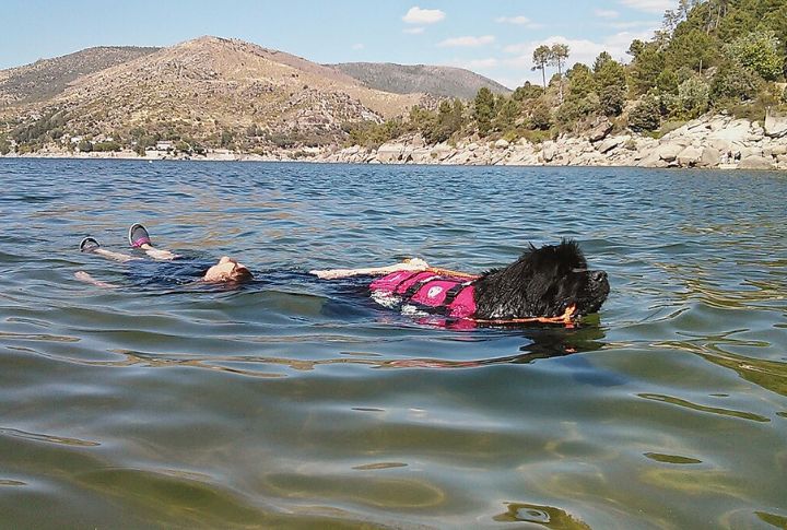 They Effortlessly Take The Role Of A Natural Lifeguard