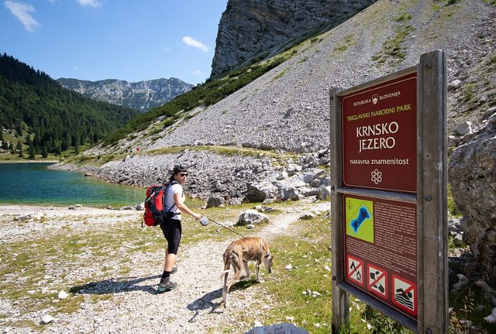 Research Dog-Friendly Trails