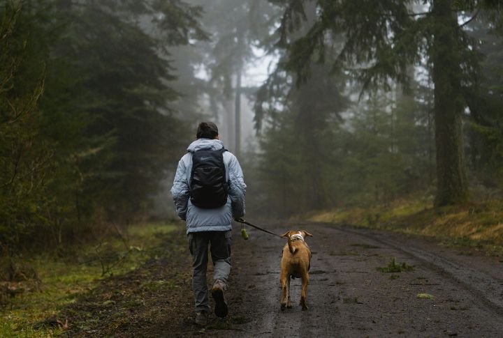 Check The Weather And Adjust