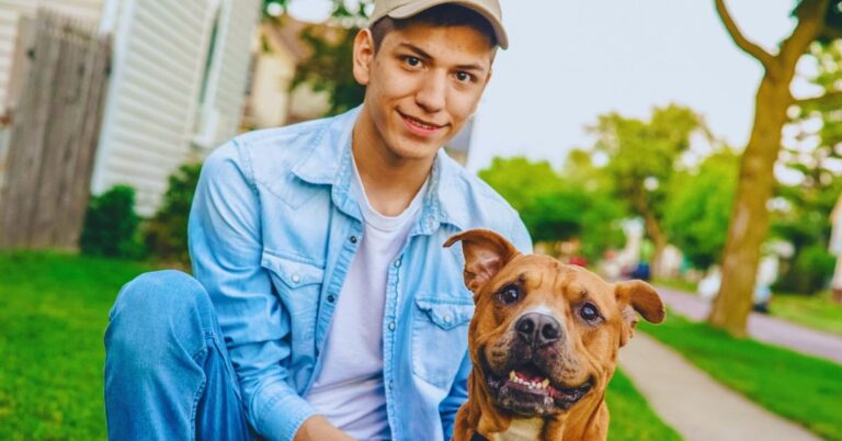 10 Responsible Ways To Rescue And Reunite A Lost Pet With Its Family