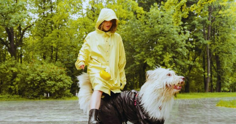 10 Vet-Approved Tips For Keeping Your Dog Safe On Rainy Walks