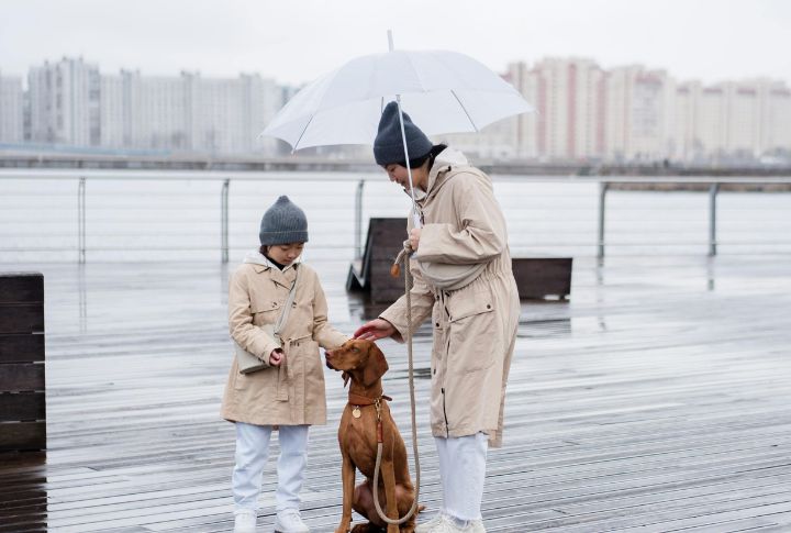 Avoid Thunderstorms to Prevent Lightning Strikes