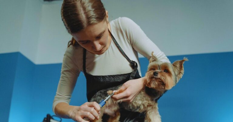 10 Things About Dog Nails Every Owner Needs To Know