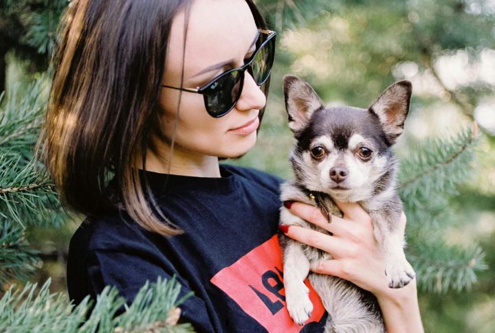 10 Breeds Known For Devotion To A Single Person