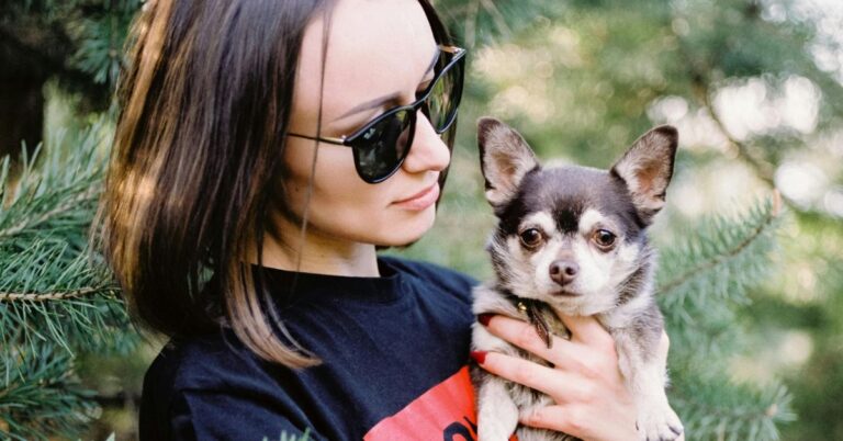 10 Breeds Known For Devotion To A Single Person