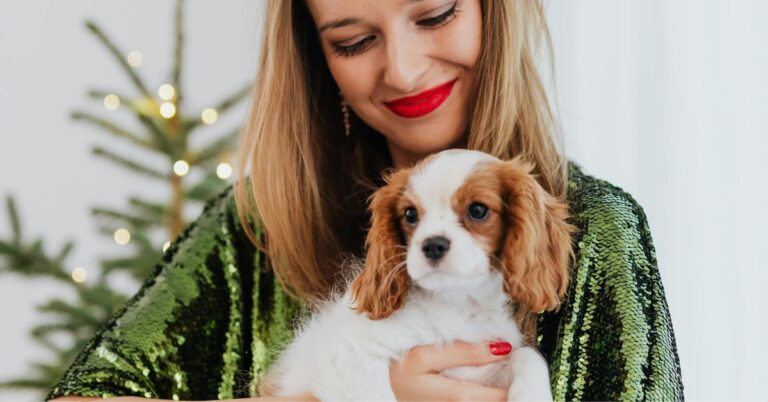 10 Dog Breeds That Barely Bark At All