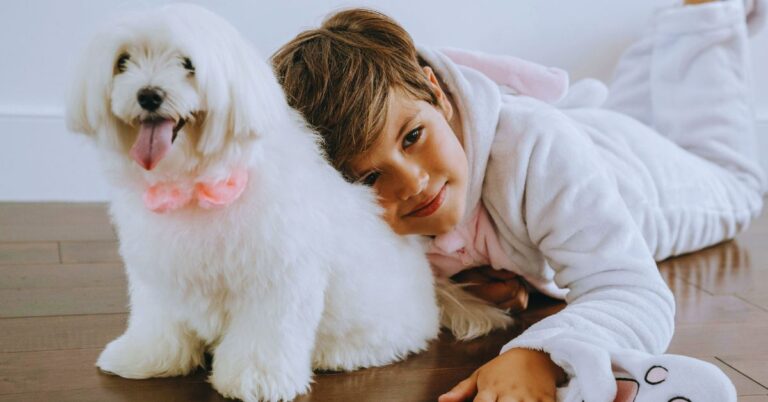 10 Low-Shedding Dog Breeds Made For Comfort