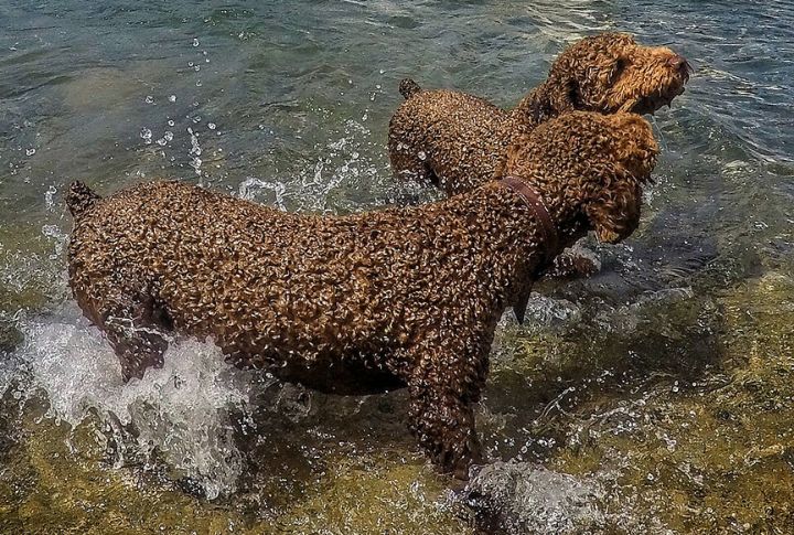 Ear Canal Maintenance To Prevent Moisture-Related Infections