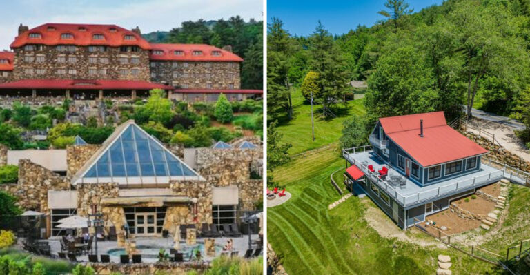 7 Best Dog-Friendly Hotels and Vacation Spots in North Carolina