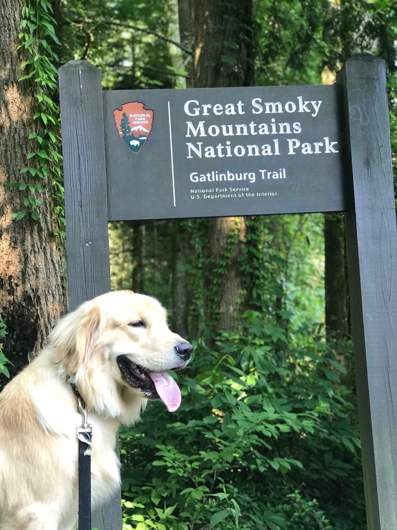 Gatlinburg and Great Smoky Mountains National Park (Pet-Friendly Areas)