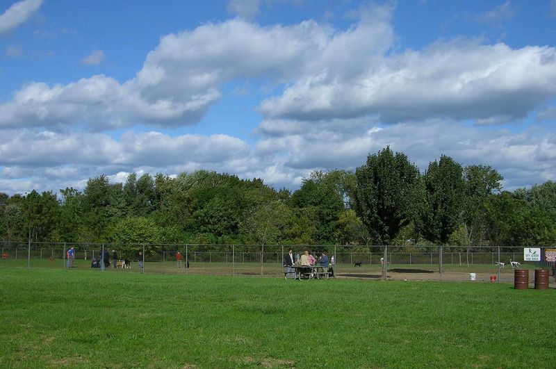 Thompson Park Dog Area - Lincroft