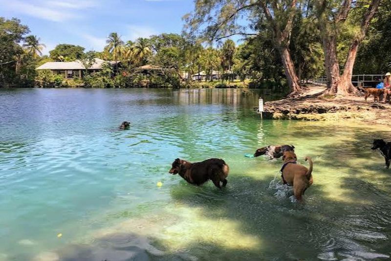 Snyder Park Bark Park - Fort Lauderdale