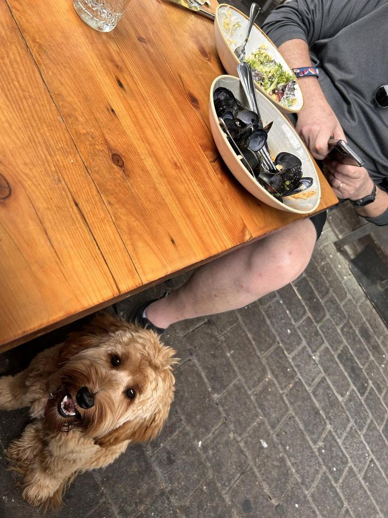 pFriem Family Brewers - Hood River