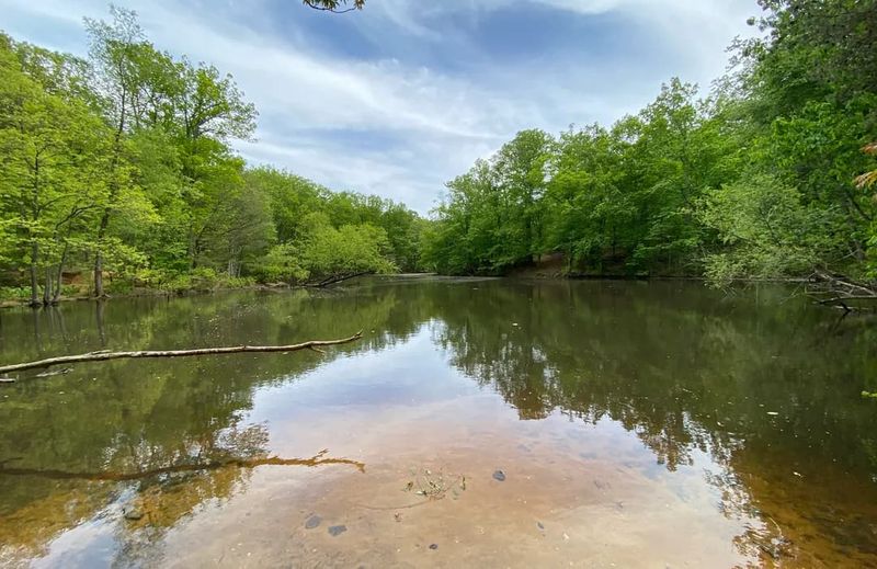 Timber Creek Dog Park - Gloucester Township