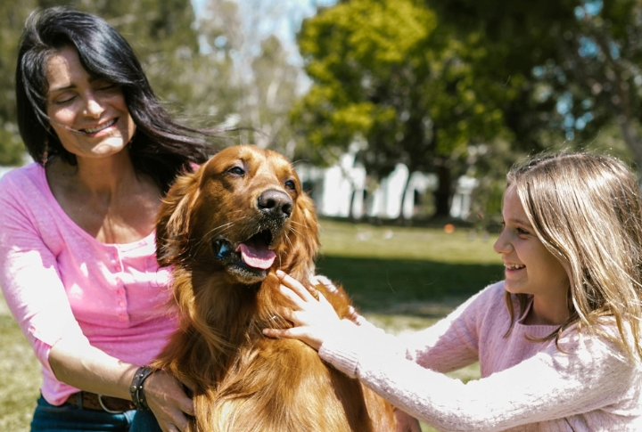 10 Family Dogs Known For Their Gentle Baby-Friendly Nature