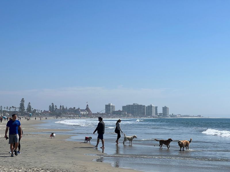 Coronado Dog Beach, Coronado
