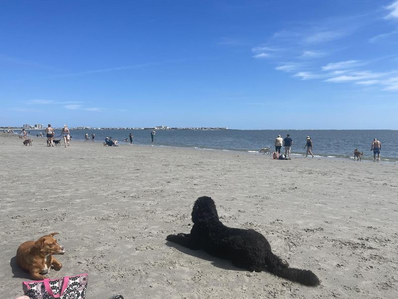 Longport Dog Beach - Somers Point side access