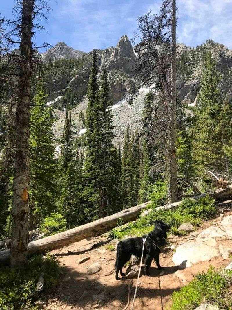 Herman Gulch, Near Silver Plume