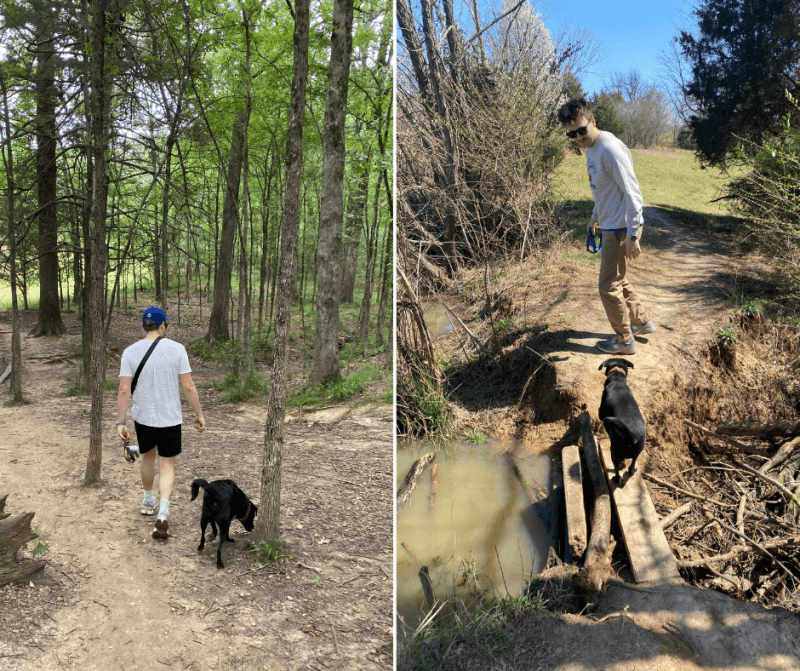 Memphis Riverfront and Overton Park