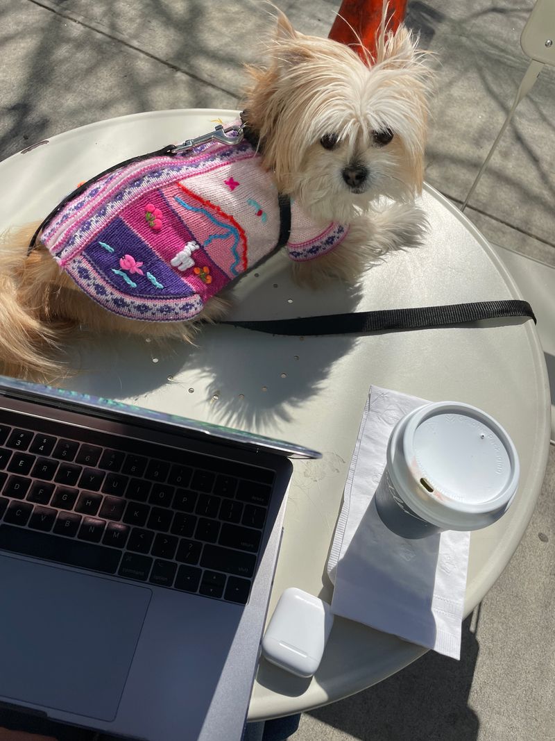 Butler Bake Shop & Espresso Bar