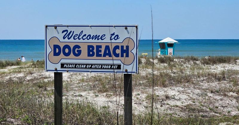 Dog Beach at Pier Park - Panama City Beach