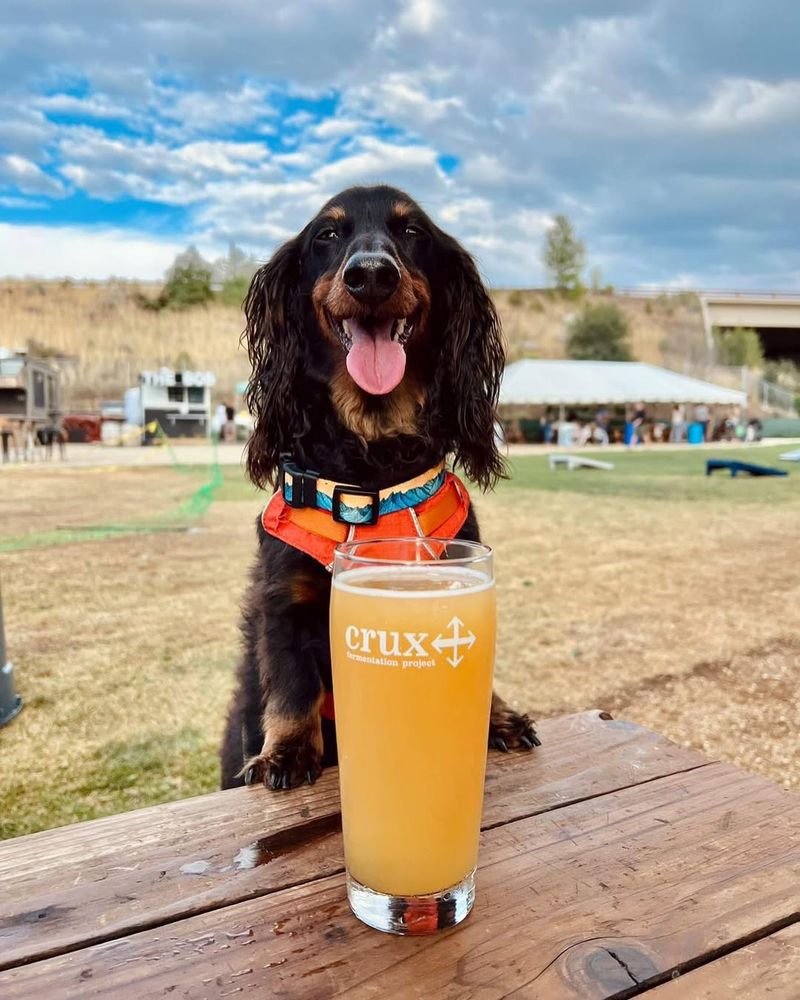 Crux Fermentation Project - Bend