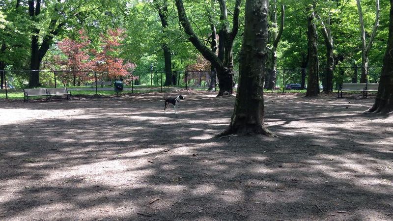 Brookdale Dog Park - Montclair/Bloomfield