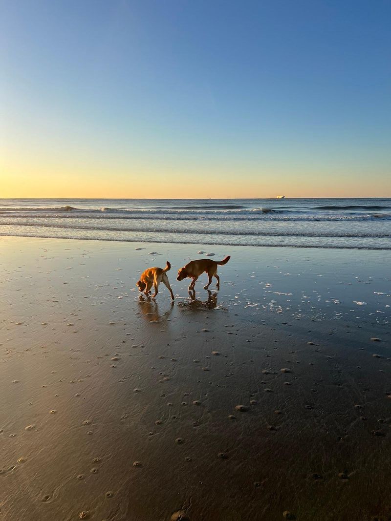 Sullivan’s Island Beach, Charleston