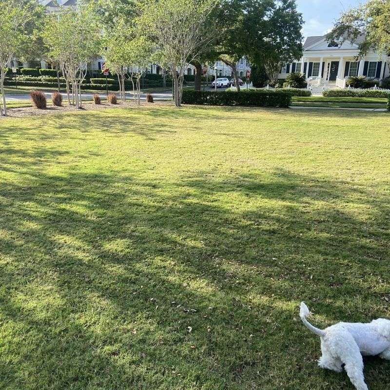 Osceola County Heritage Park Dog Park - Kissimmee