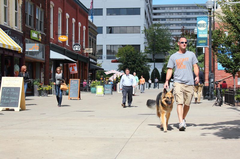Knoxville’s Urban Wilderness and Market Square